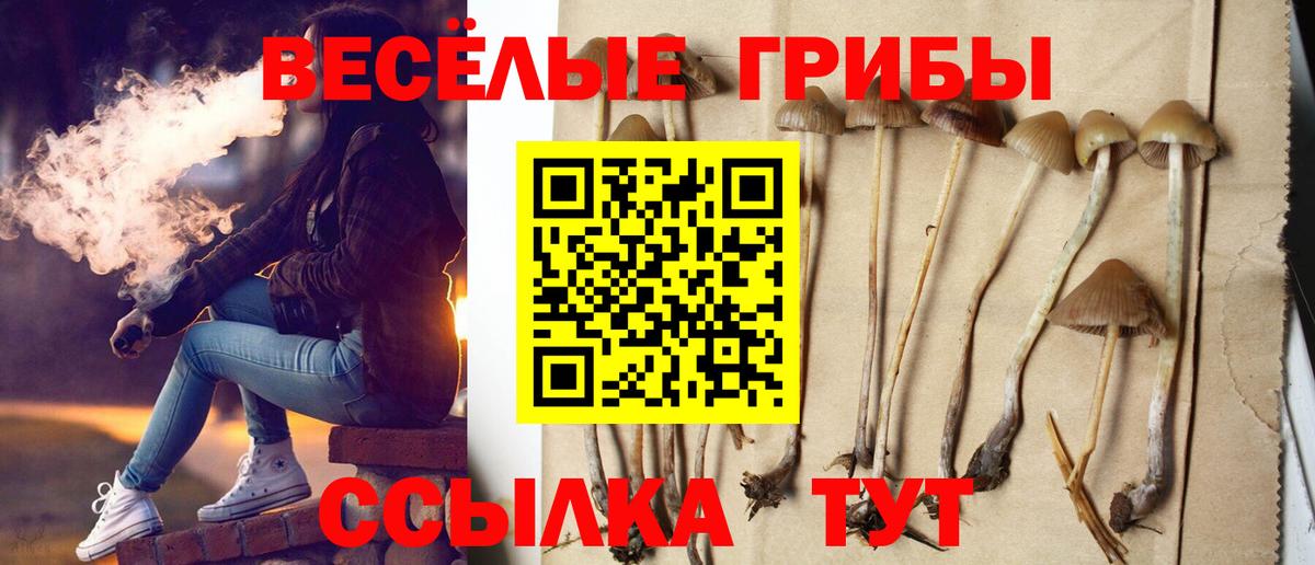 Звенигород  Псилоцибиновые грибы мухоморы  продажа наркотиков  Вход с VPN 