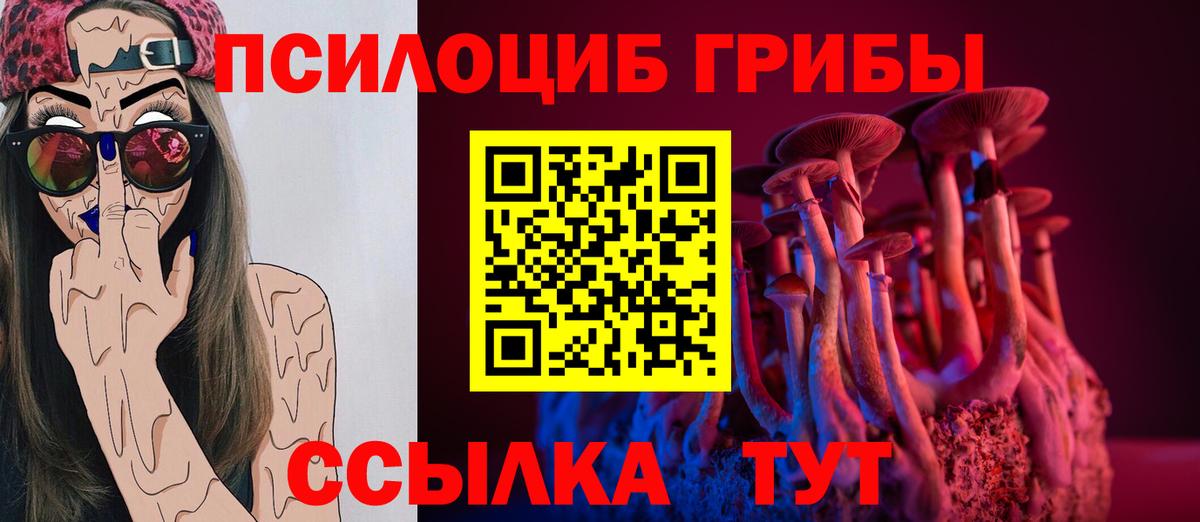 Псилоцибиновые грибы прущие грибы Звенигород